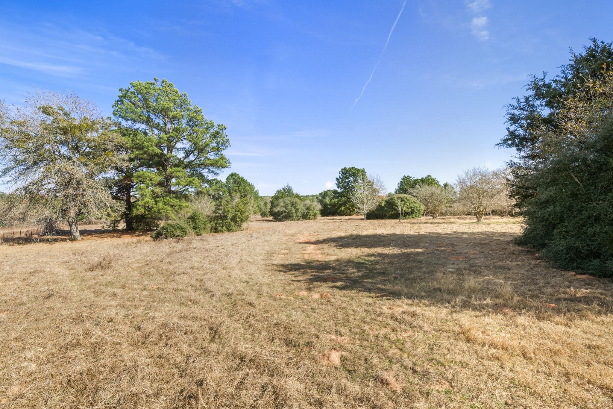 171 Mustang Dr, Paige, TX 78659