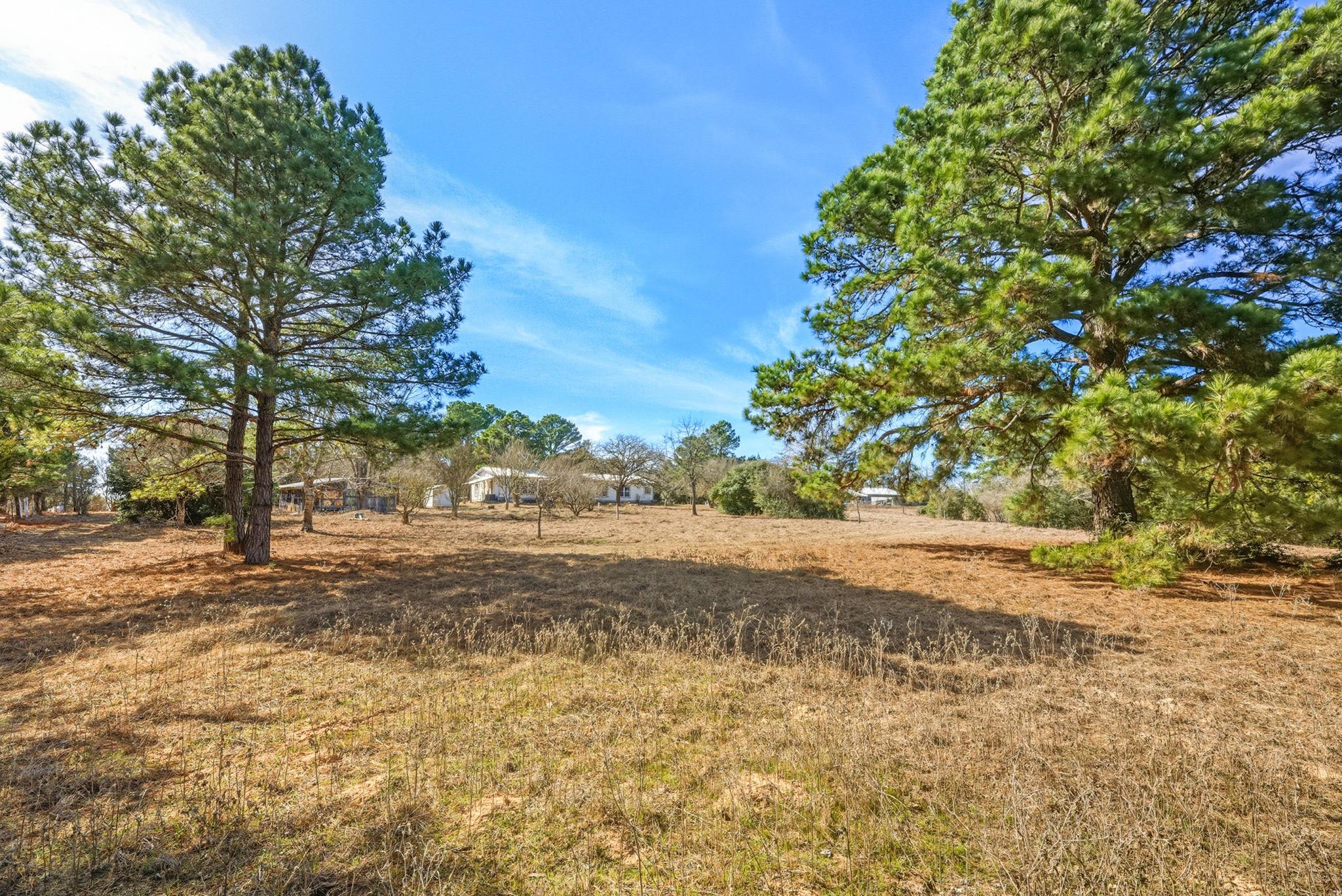 171 Mustang Dr, Paige, TX 78659