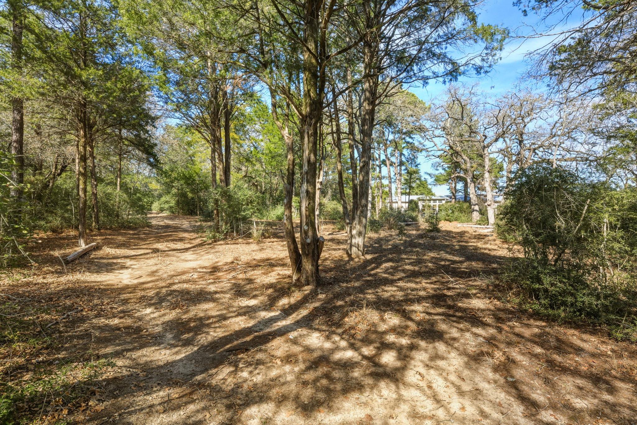 171 Mustang Dr, Paige, TX 78659