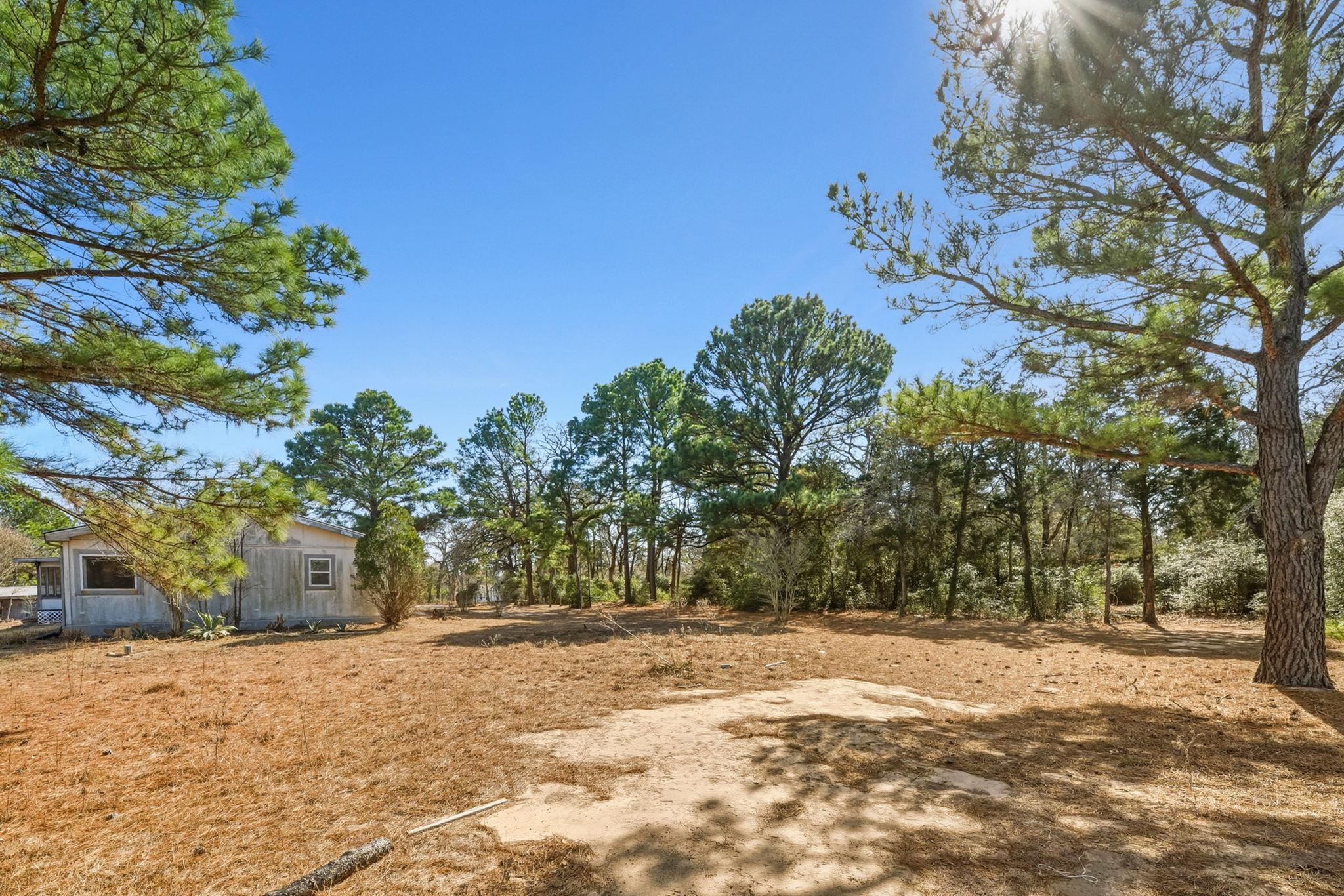 171 Mustang Dr, Paige, TX 78659