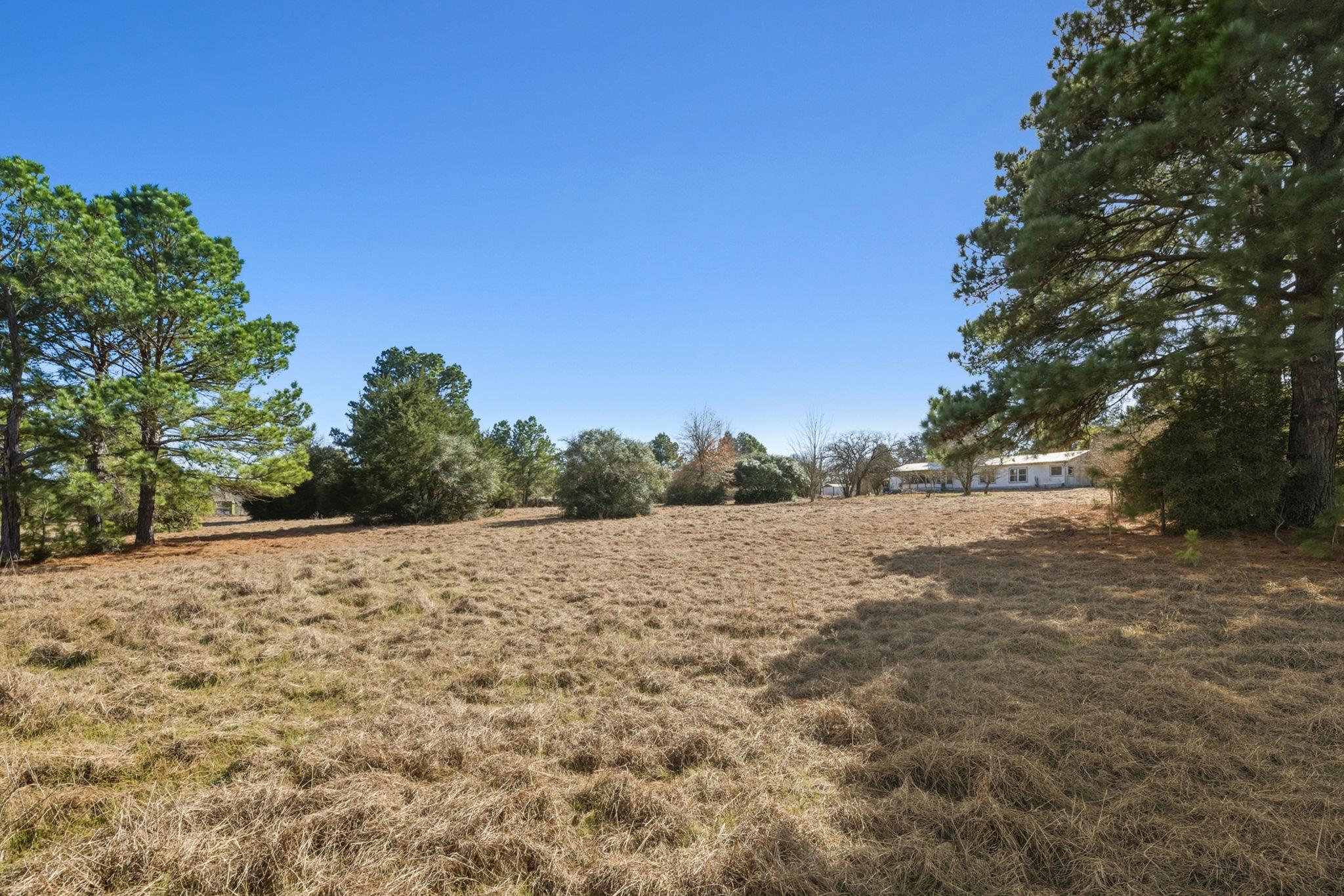 171 Mustang Dr, Paige, TX 78659