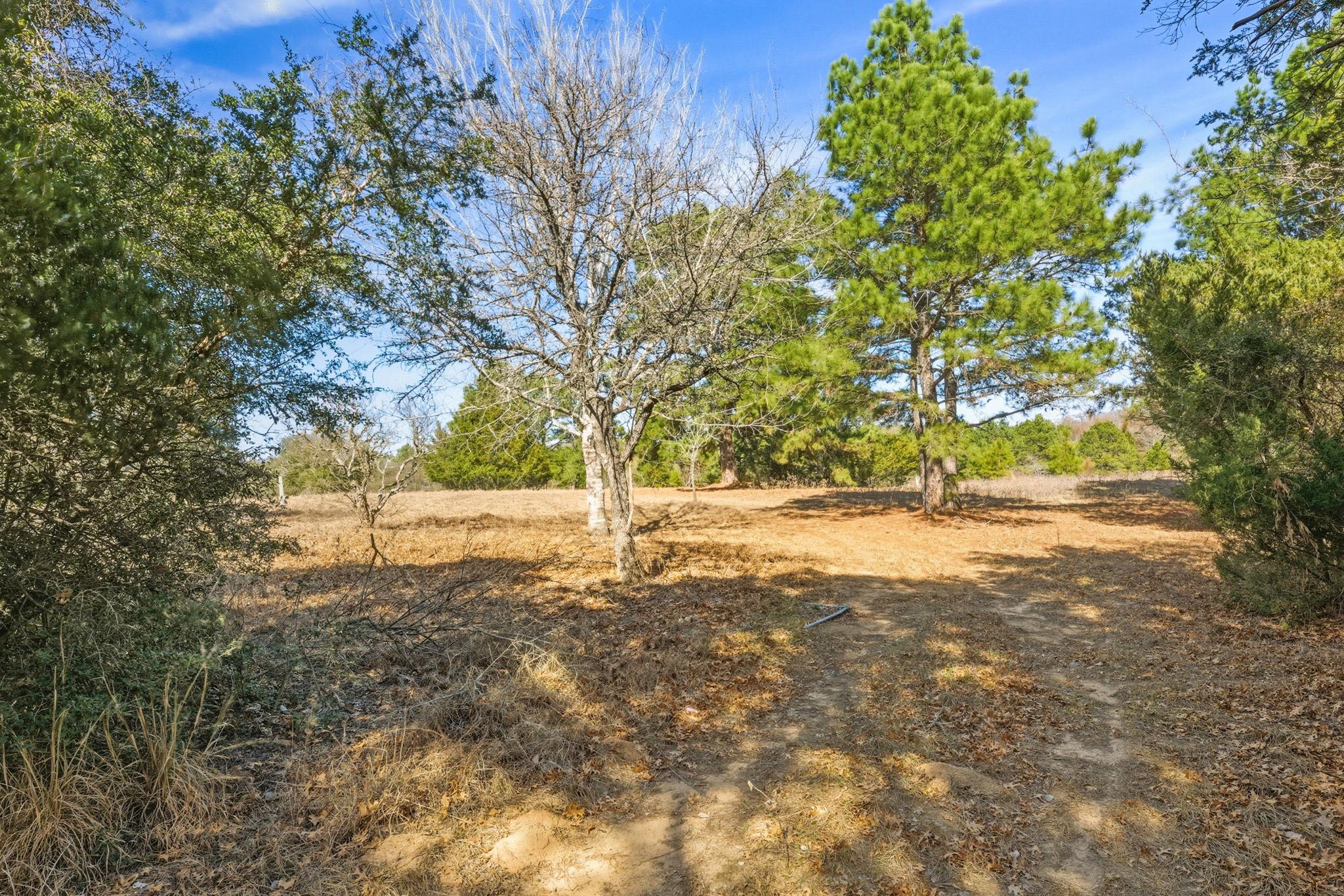 171 Mustang Dr, Paige, TX 78659