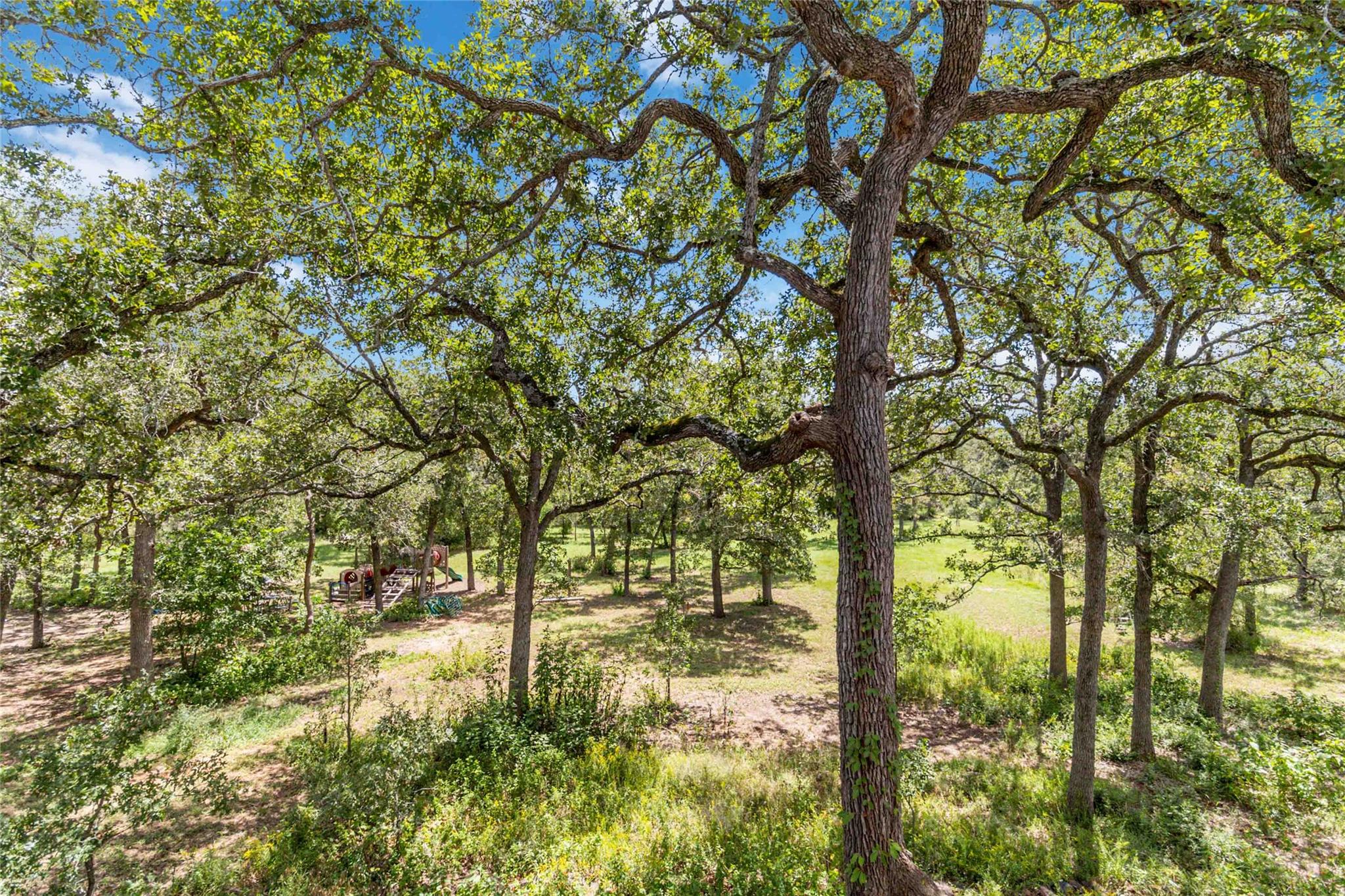 180 Ironstone Rd, Smithville, TX 78957