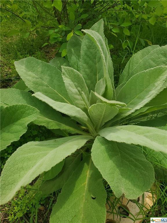 1217 Craig St, Copperas Cove, TX 76522