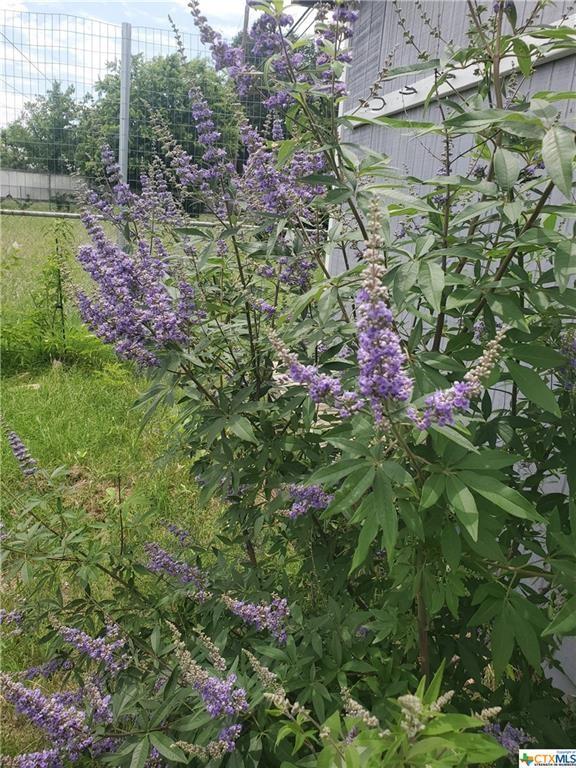 1217 Craig St, Copperas Cove, TX 76522