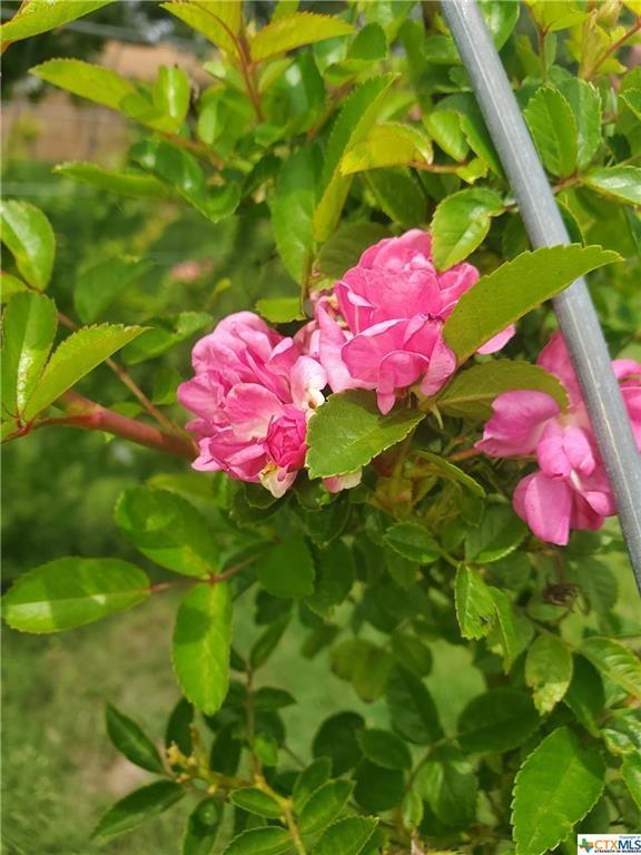 1217 Craig St, Copperas Cove, TX 76522