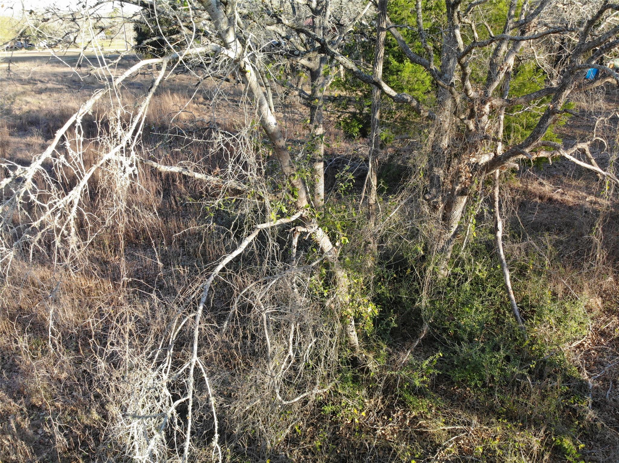 Lots 390 & 80 Hill Loop Rd, Somerville, TX 77879