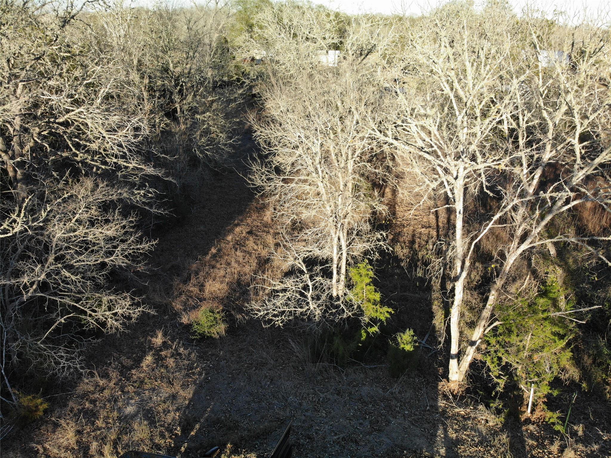 Lots 390 & 80 Hill Loop Rd, Somerville, TX 77879