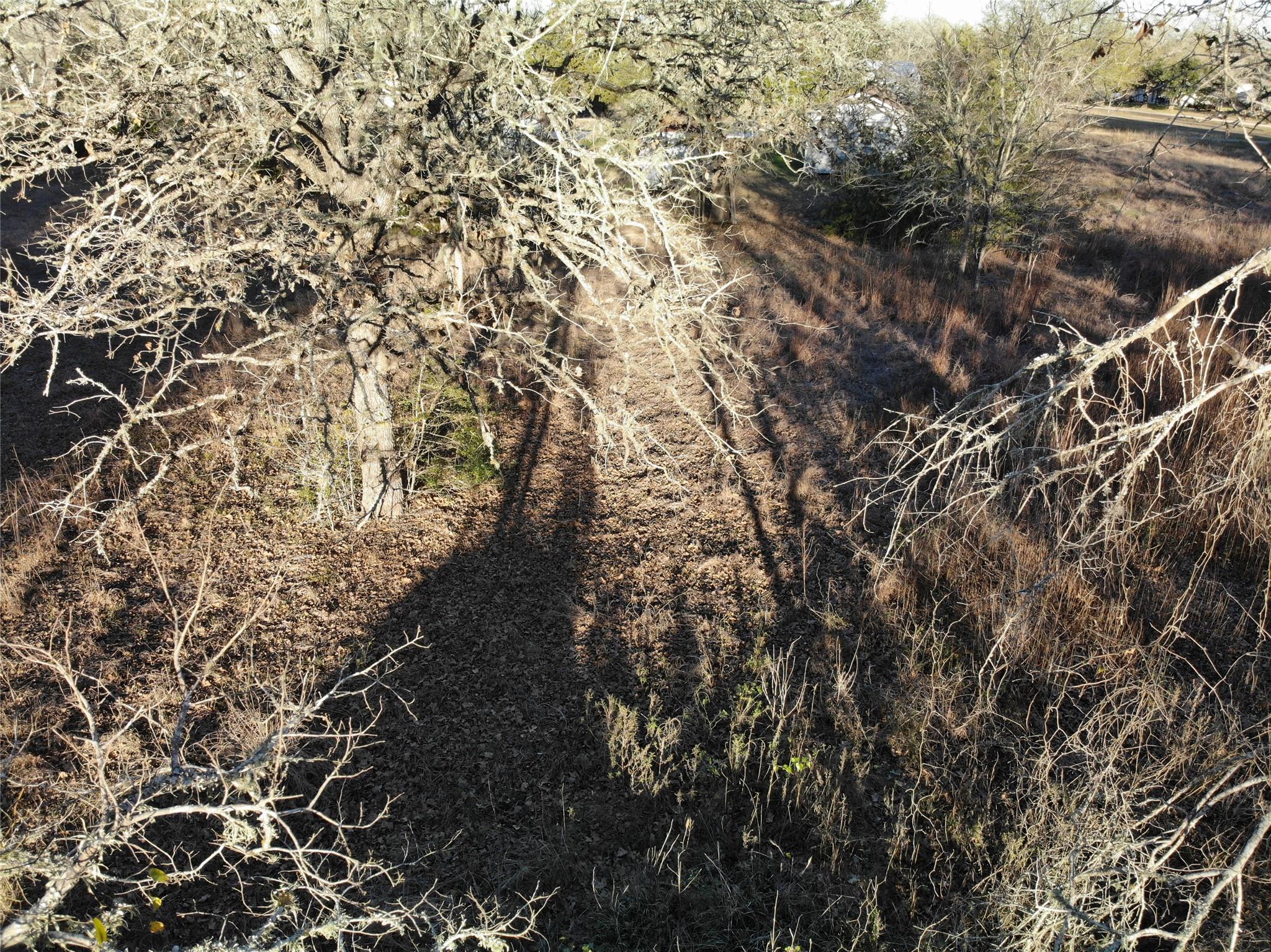 Lots 390 & 80 Hill Loop Rd, Somerville, TX 77879