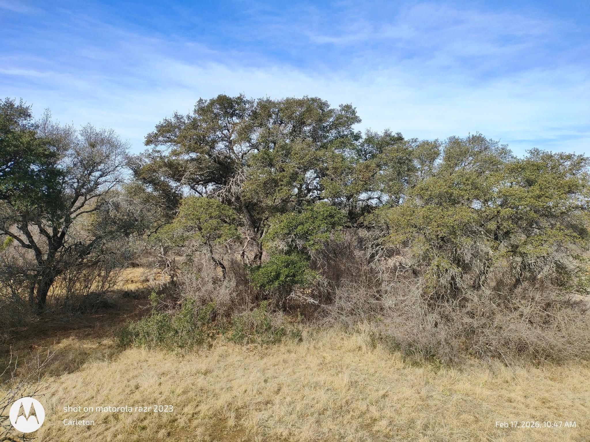 567 County Road 241, Rochelle, TX 76872