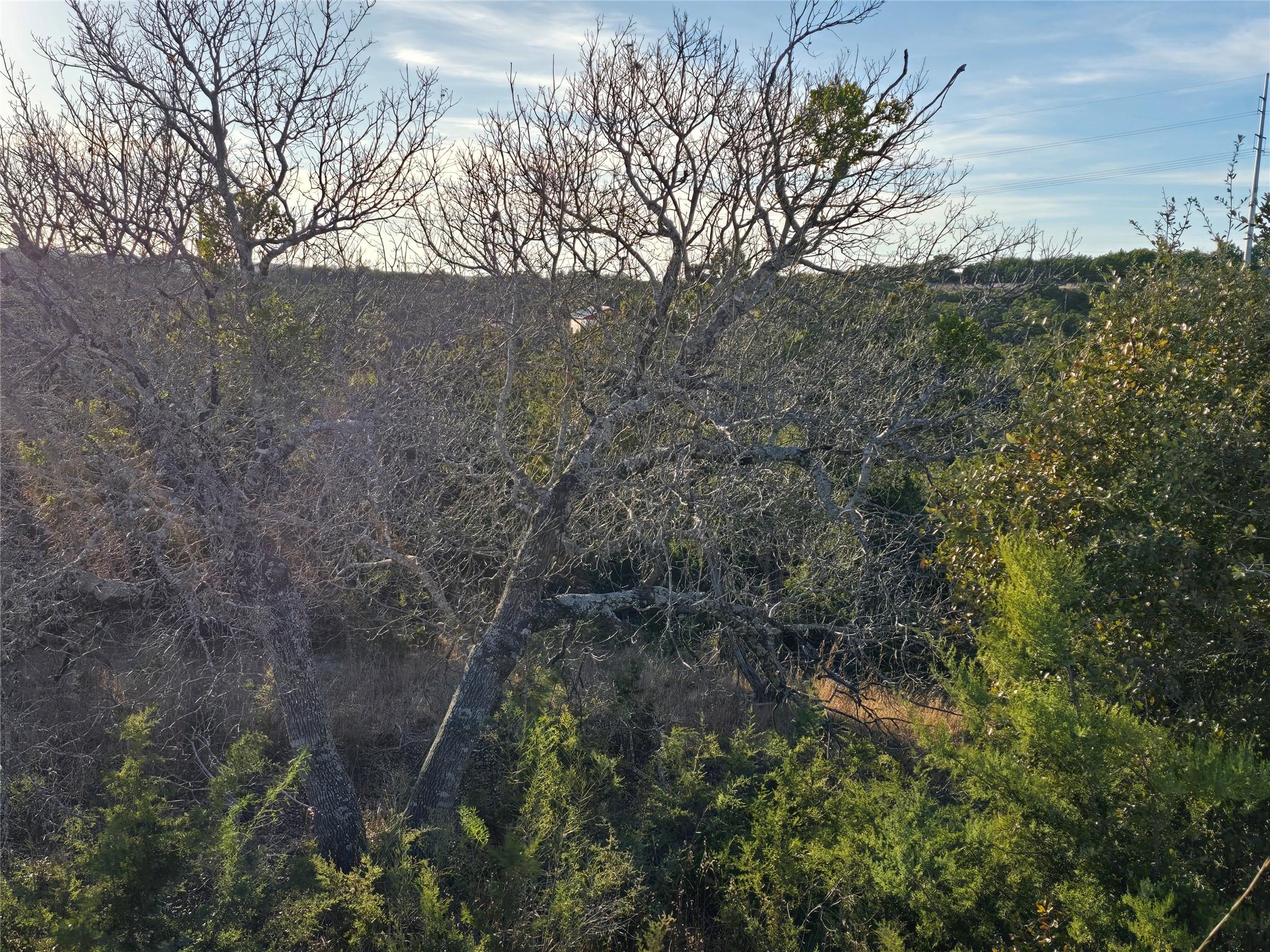 19403 Apple Springs Dr, Leander, TX 78641