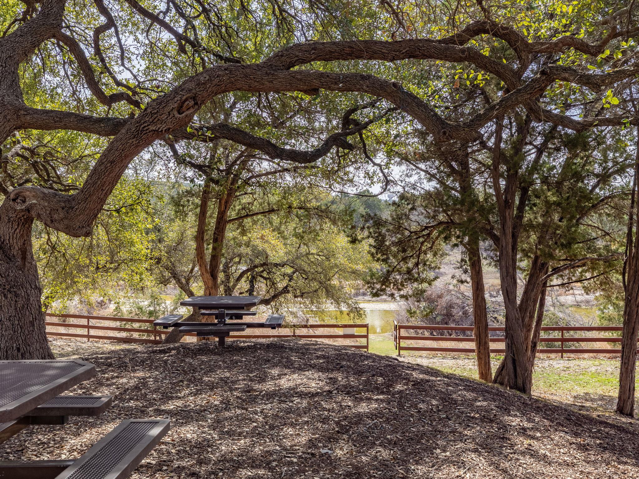 4229 Deer Lake Ln, Georgetown, TX 78628