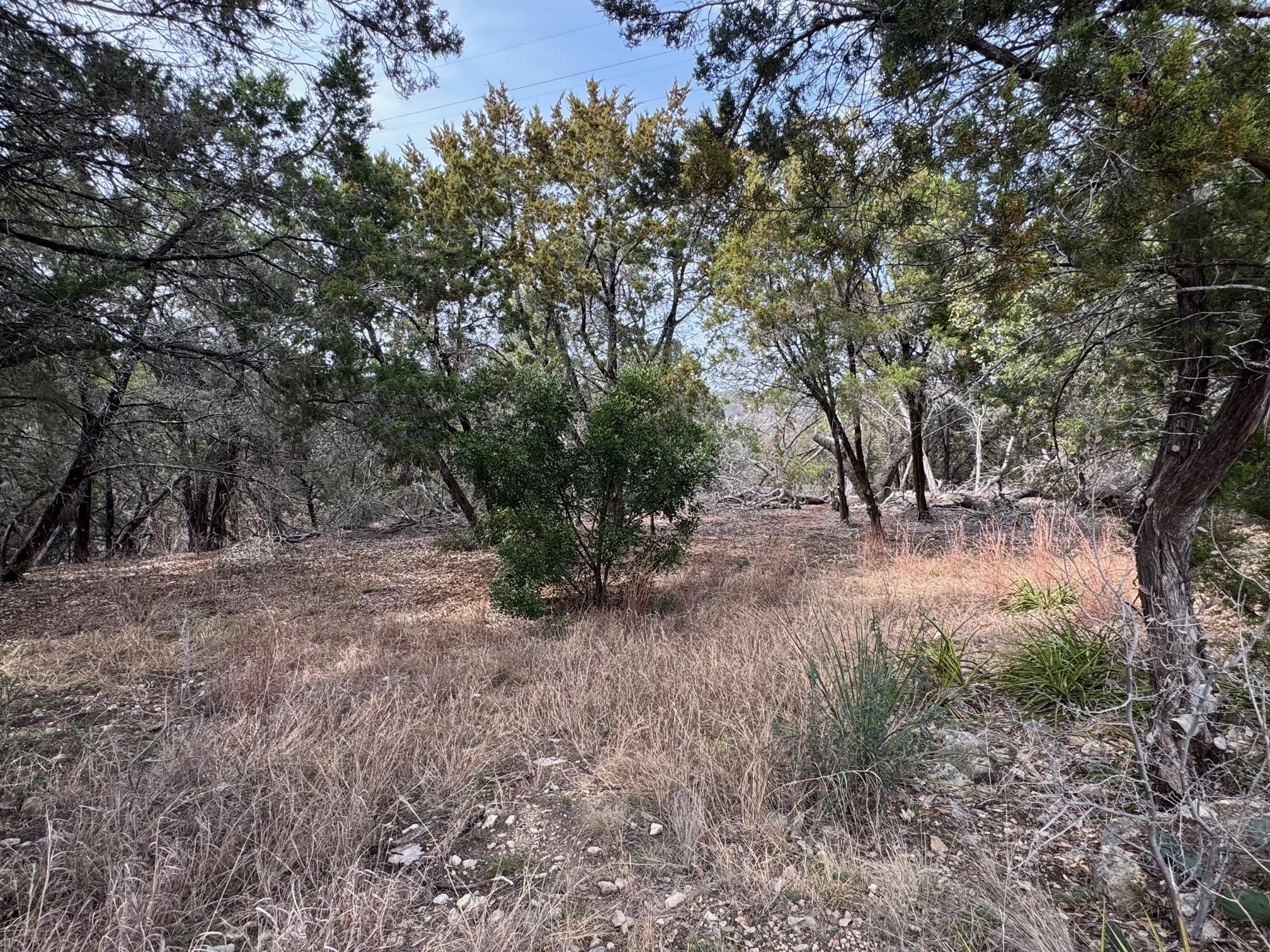 139 Clubhouse Dr, Lakeway, TX 78734