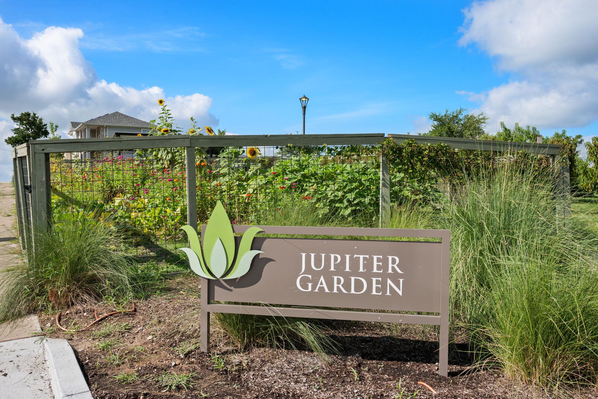 16710 Sonoma Breeze Dr, Manor, TX 78653