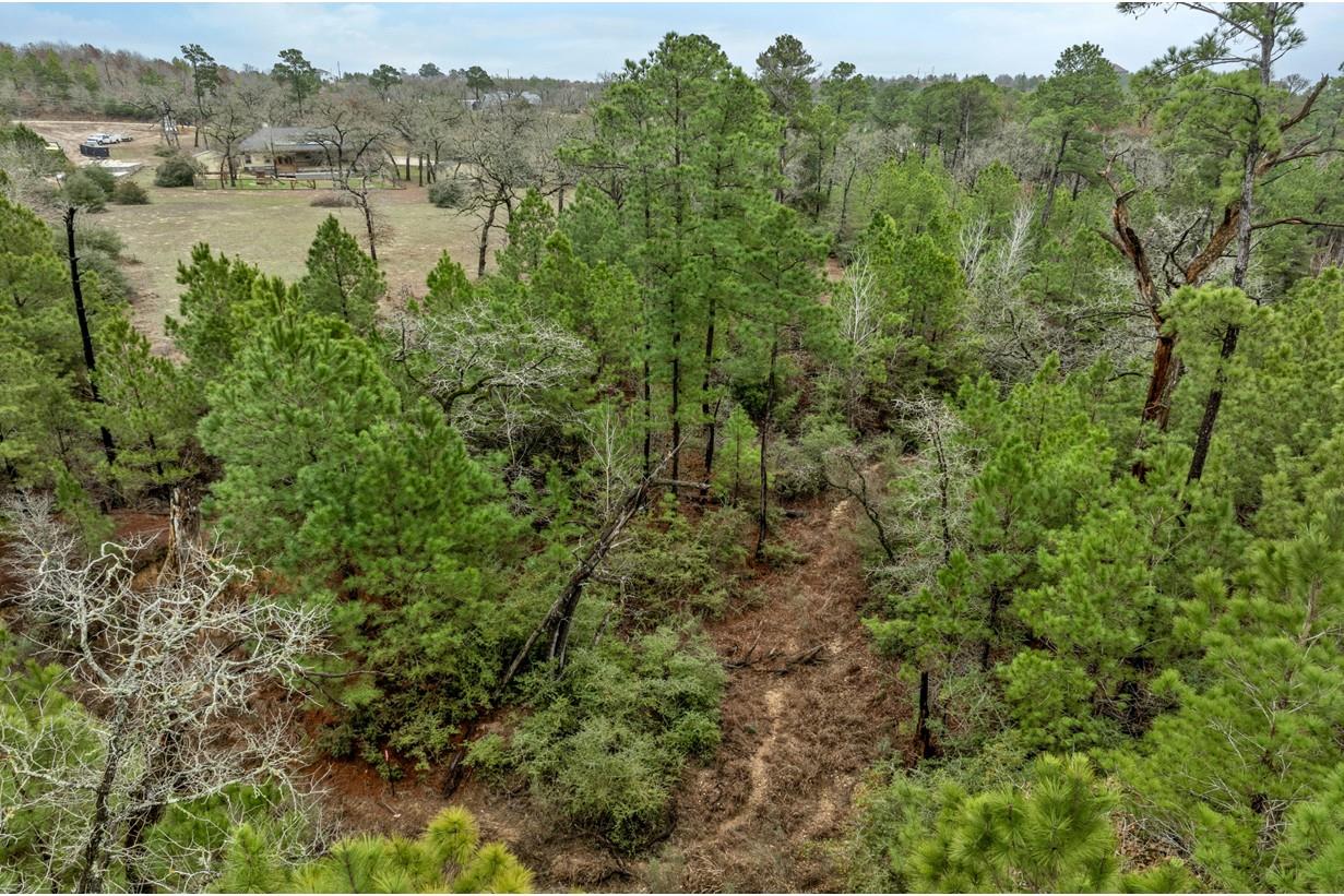 170 Woodland Ct, Bastrop, TX 78602