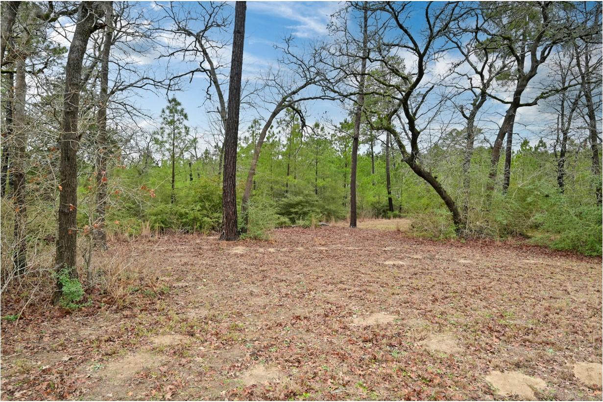 170 Woodland Ct, Bastrop, TX 78602