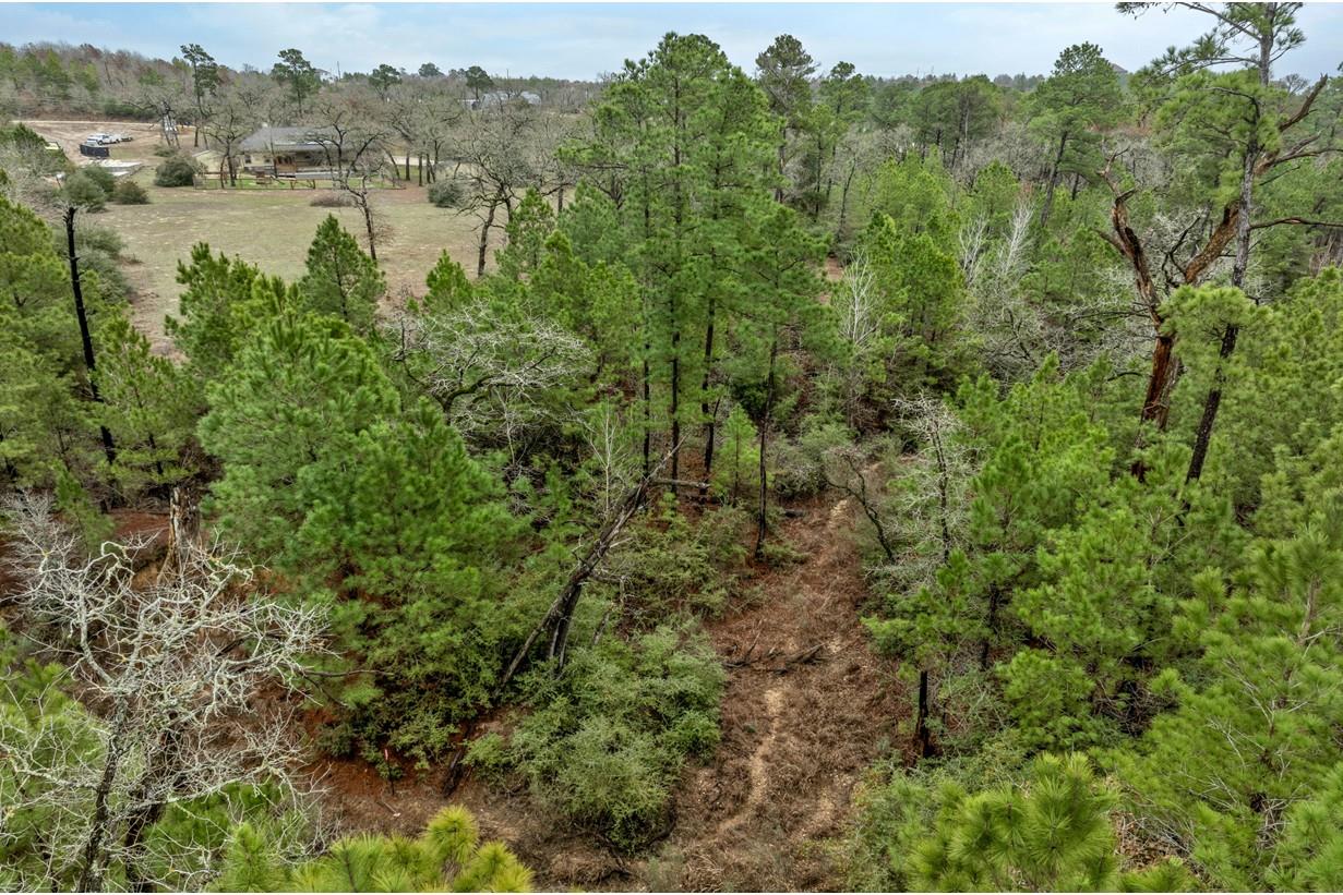 170 Woodland Ct, Bastrop, TX 78602