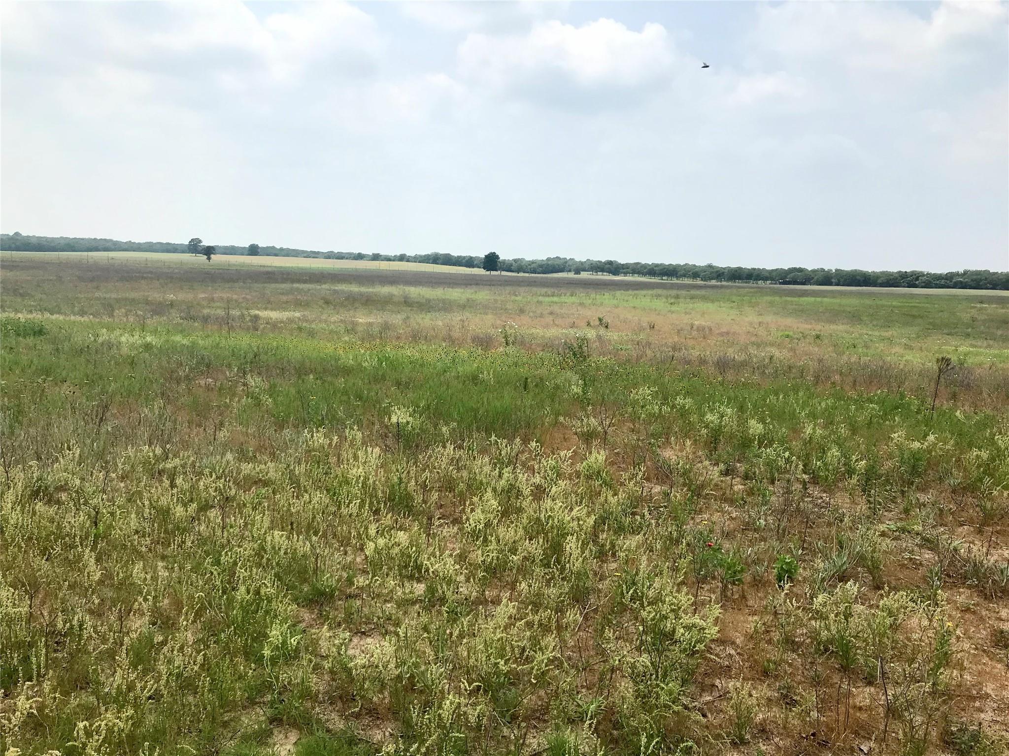 1672 Sayers Tract 2 Rd, Bastrop, TX 78602