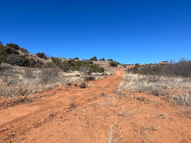 99999 US 70 Highway, Turkey, TX 79261