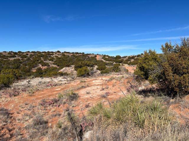 99999 US 70 Highway, Turkey, TX 79261