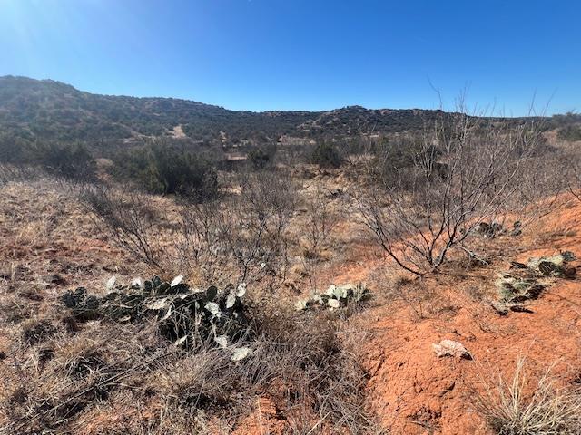 99999 US 70 Highway, Turkey, TX 79261