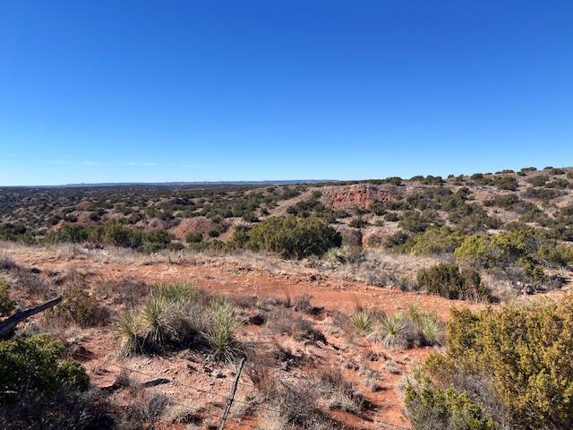 99999 US 70 Highway, Turkey, TX 79261