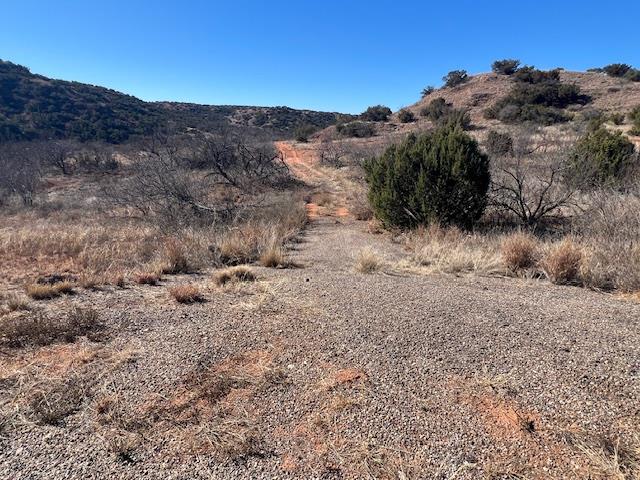 99999 US 70 Highway, Turkey, TX 79261