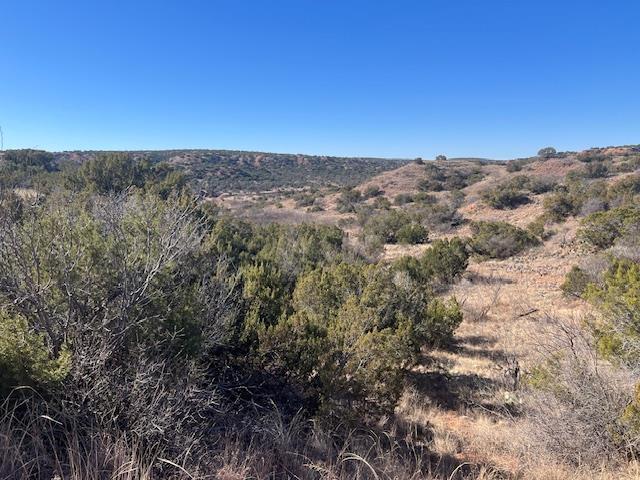 99999 US 70 Highway, Turkey, TX 79261