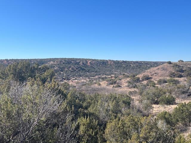 99999 US 70 Highway, Turkey, TX 79261