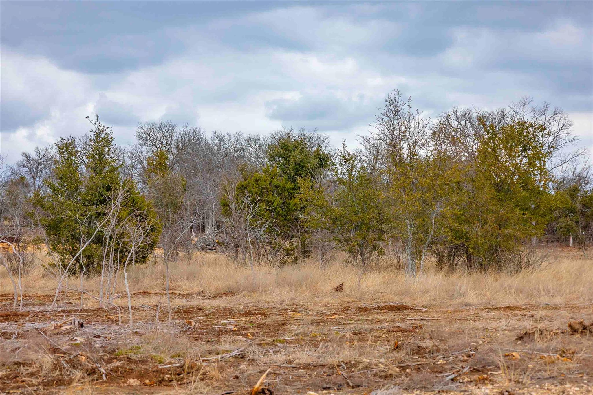 000 S FM 1174 Highway, Bertram, TX 78605