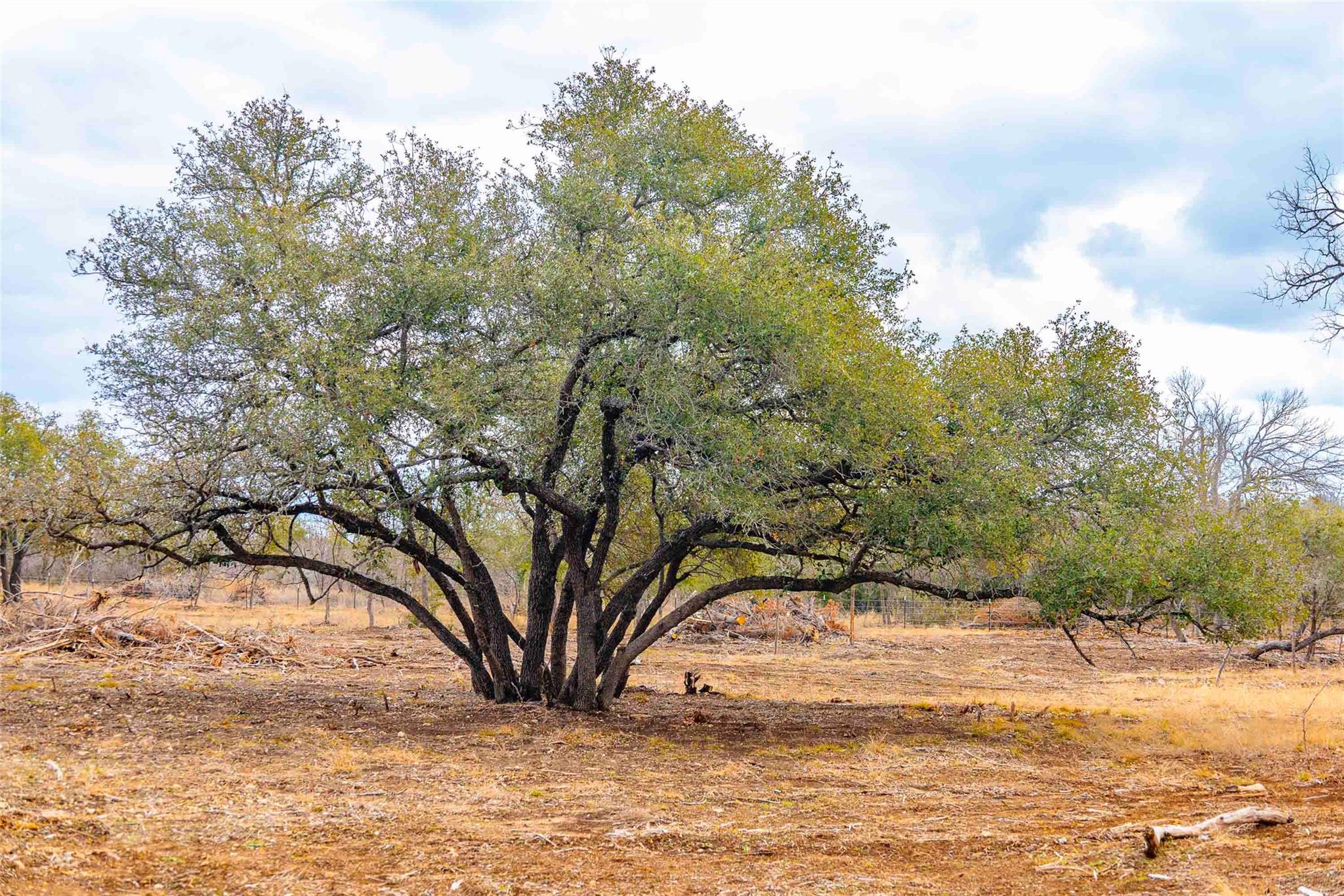 000 S FM 1174 Highway, Bertram, TX 78605