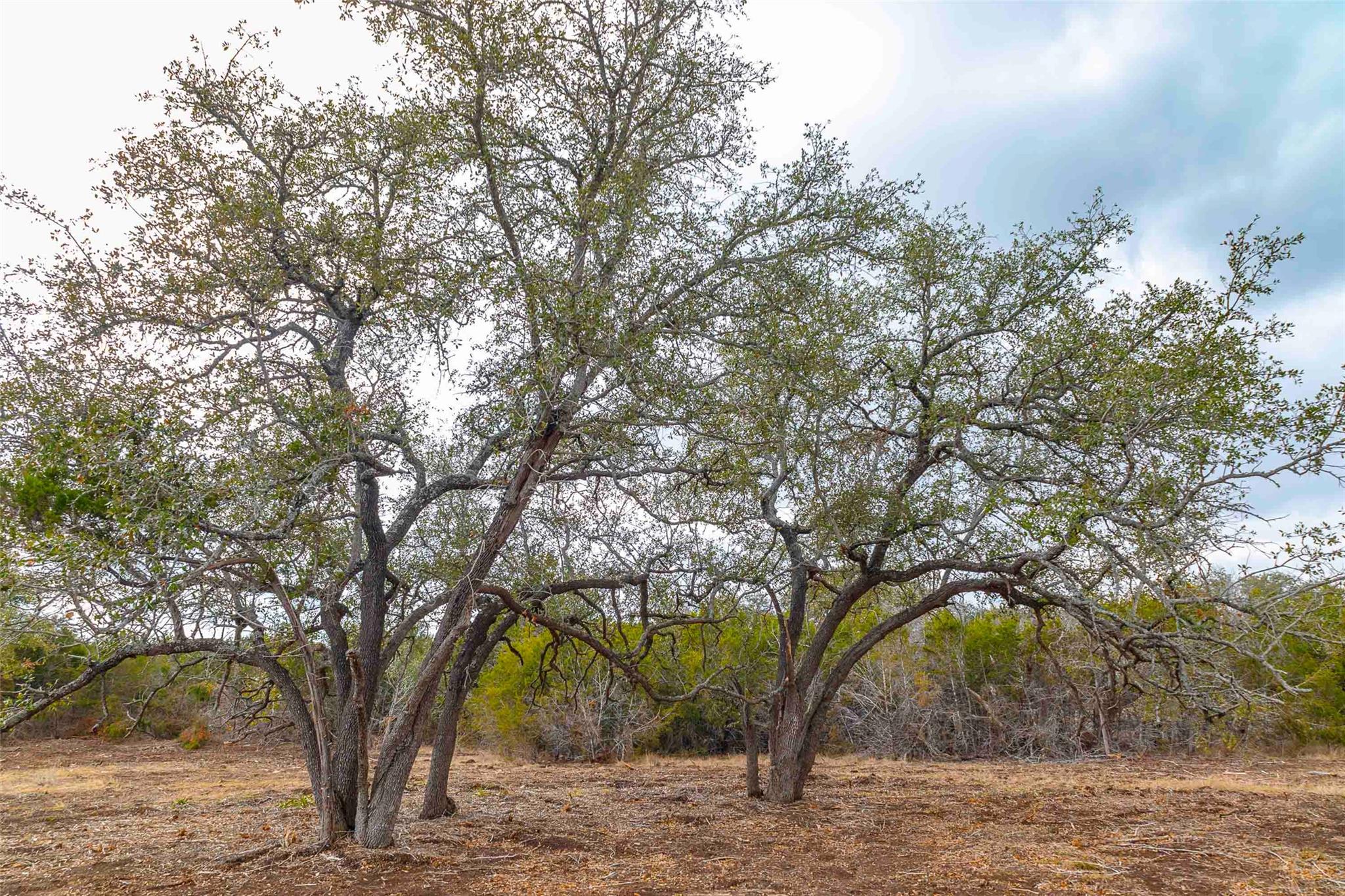 000 S FM 1174 Highway, Bertram, TX 78605