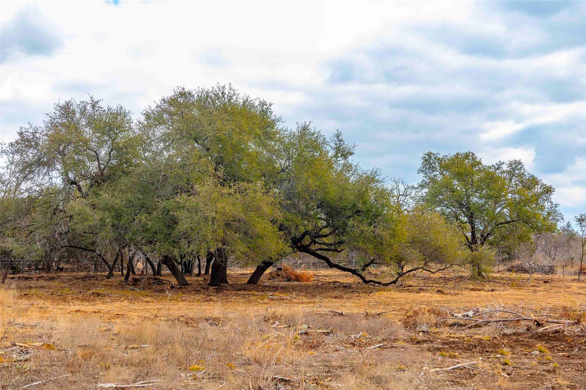 000 S FM 1174 Highway, Bertram, TX 78605