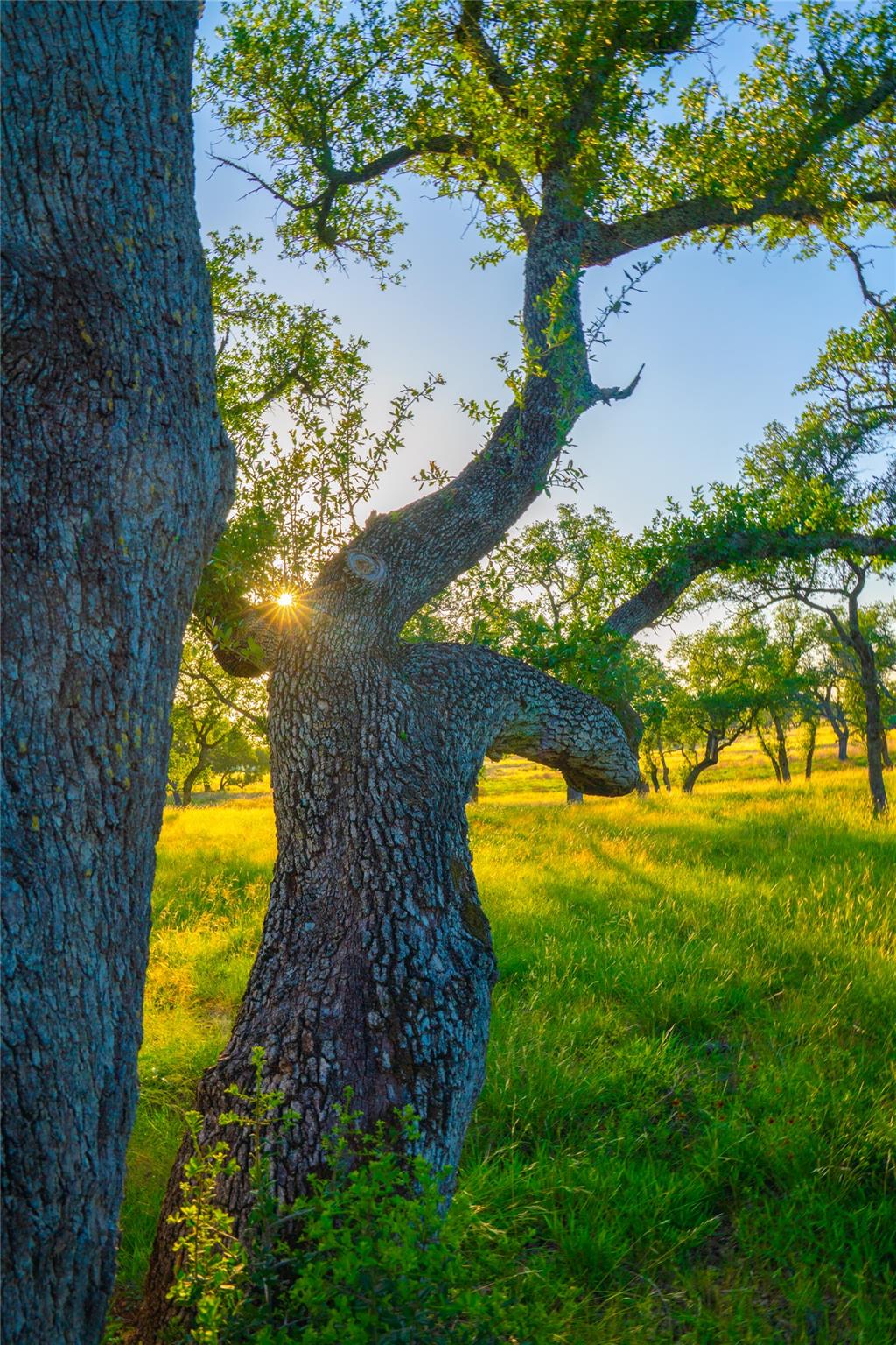 0 Bountiful Oaks Ranch, Johnson City, TX 78636