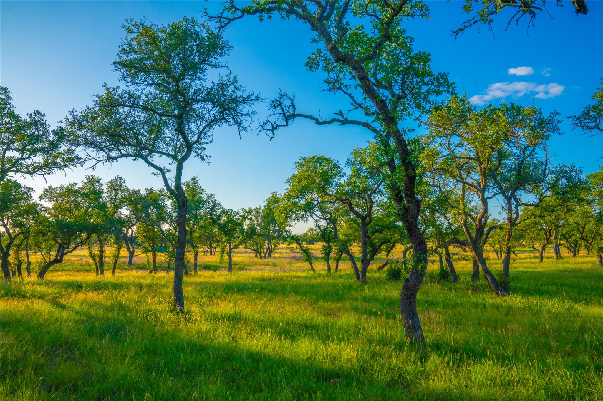 0 Bountiful Oaks Ranch, Johnson City, TX 78636