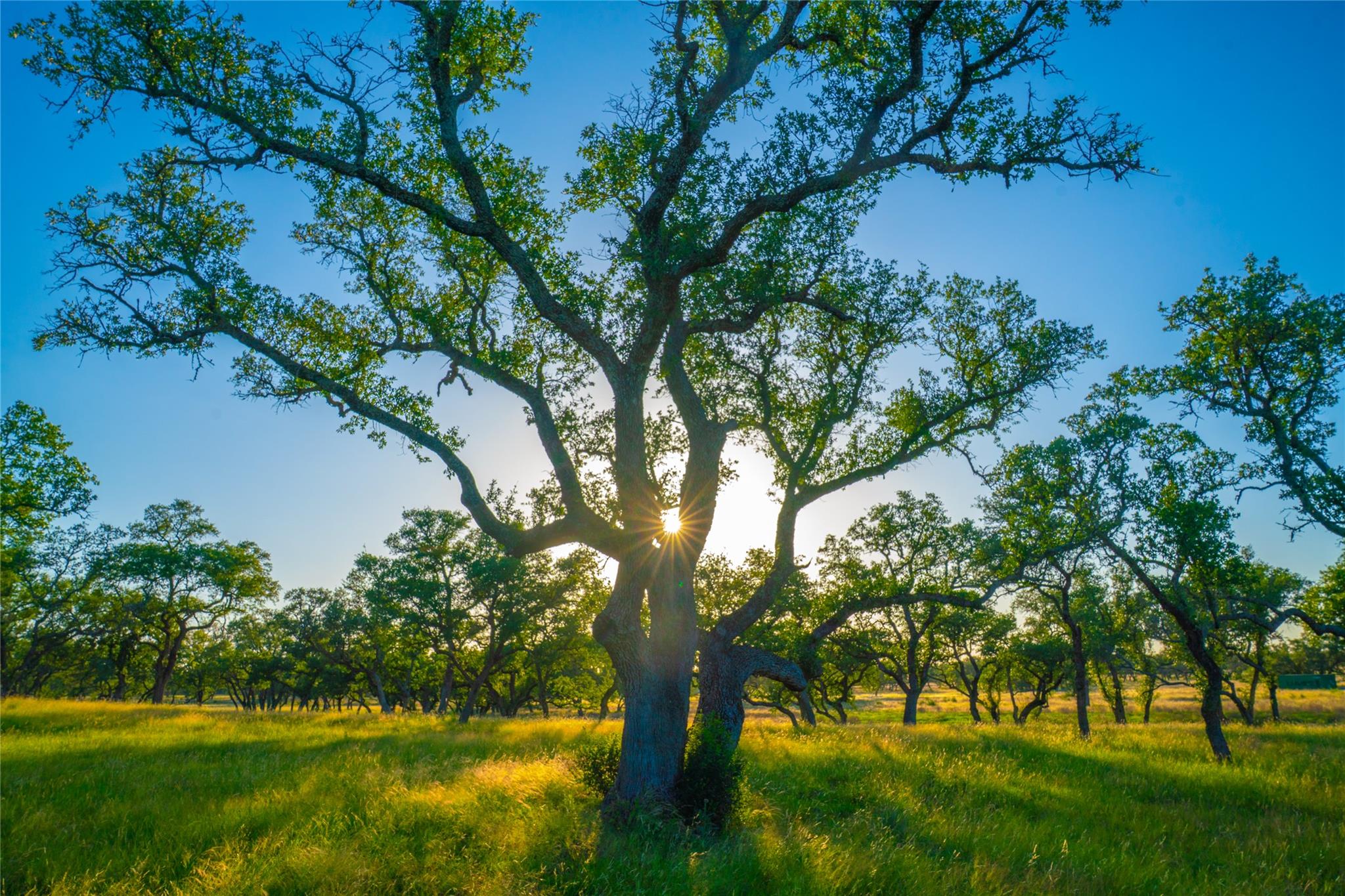 0 Bountiful Oaks Ranch, Johnson City, TX 78636