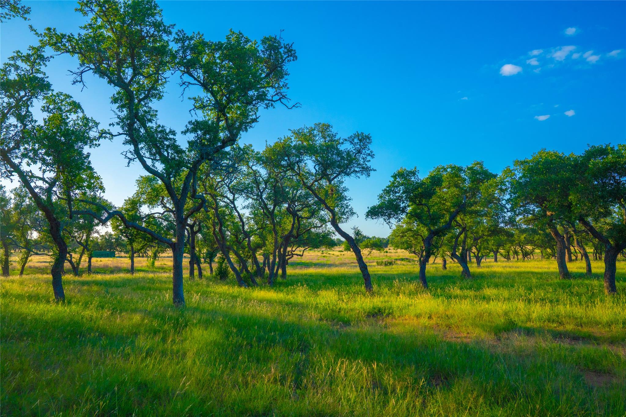 0 Bountiful Oaks Ranch, Johnson City, TX 78636