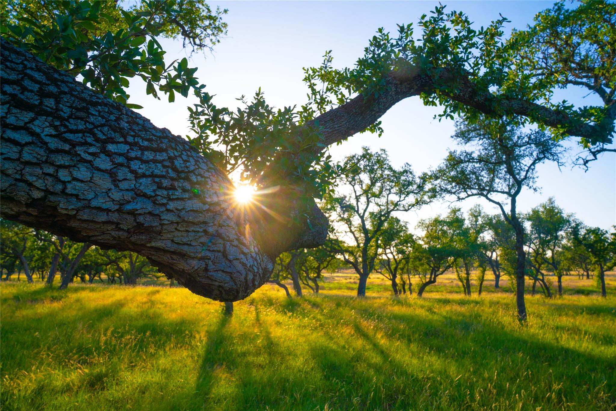 0 Bountiful Oaks Ranch, Johnson City, TX 78636