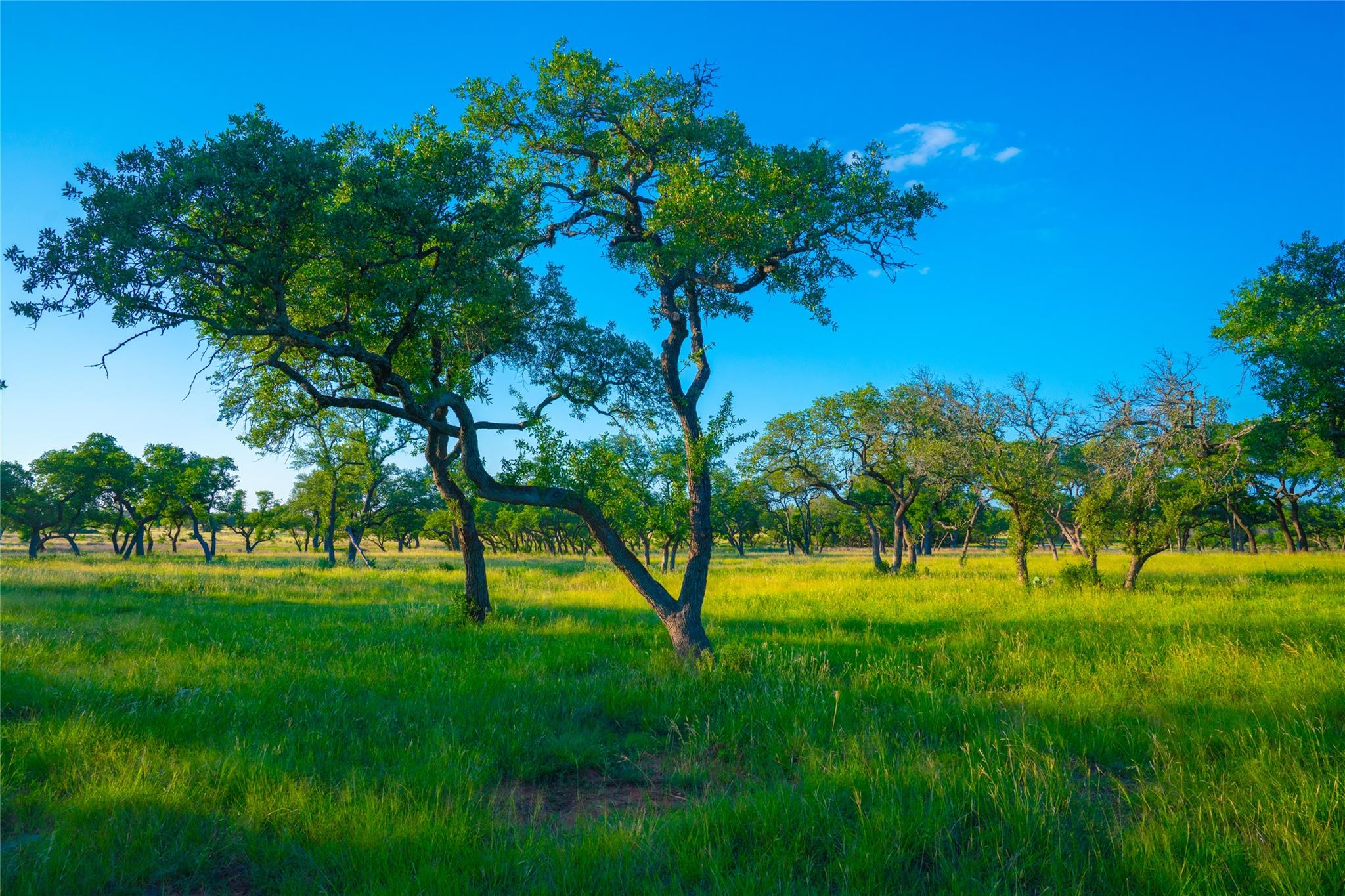 0 Bountiful Oaks Ranch, Johnson City, TX 78636