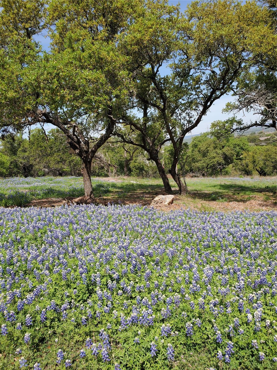 5401 Dew Drop St, Horseshoe Bay, TX 78657