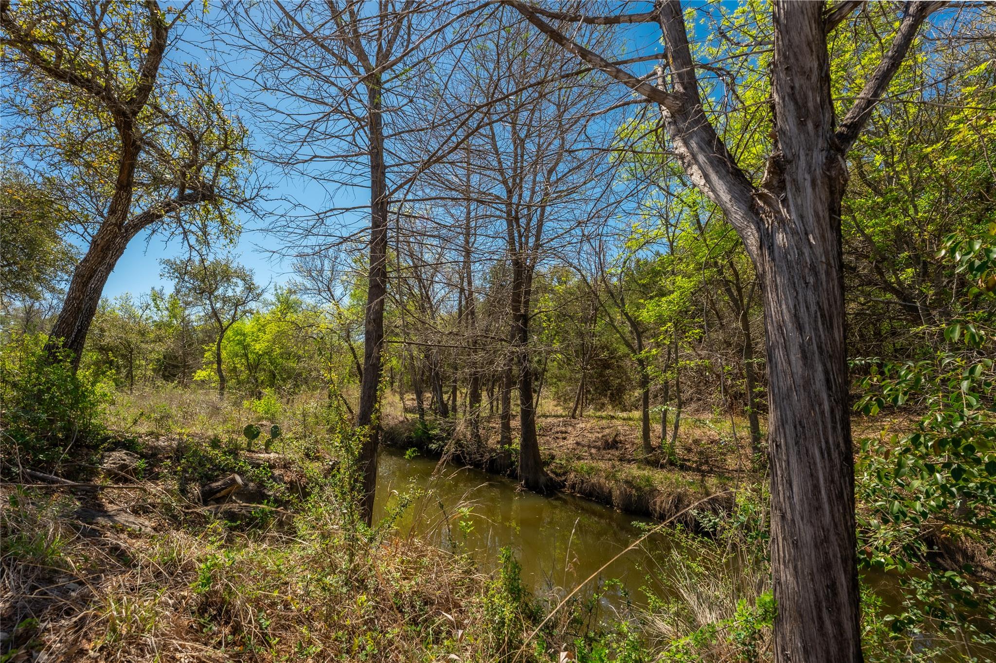 205 Legacy Oaks Ranch Dr, Johnson City, TX 78636