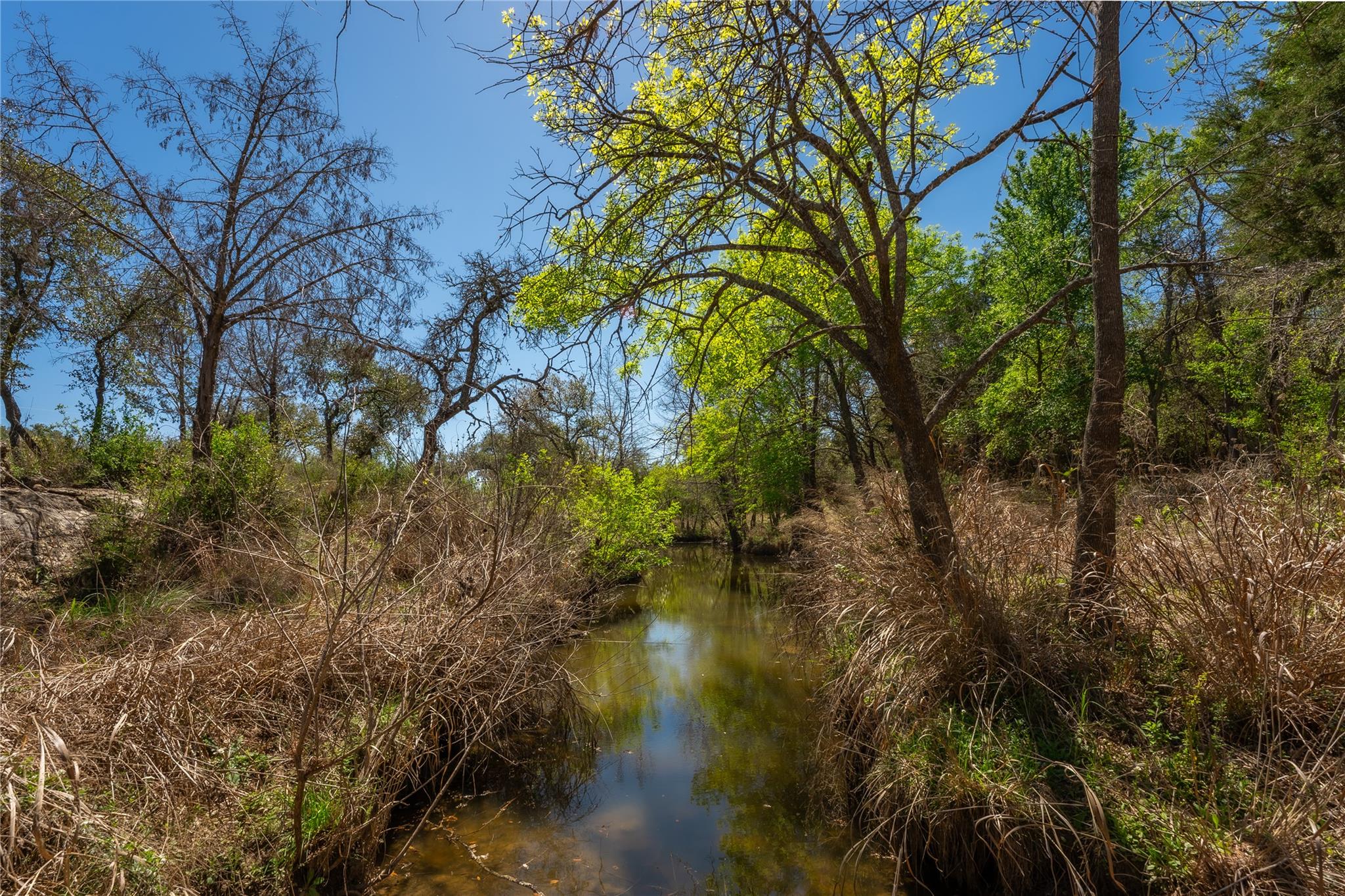 203 Legacy Oaks Ranch Dr, Johnson City, TX 78636