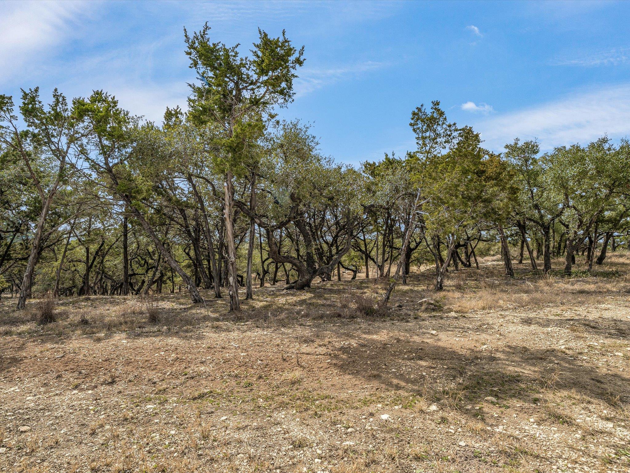 0 Moonridge Ln, Wimberley, TX 78676
