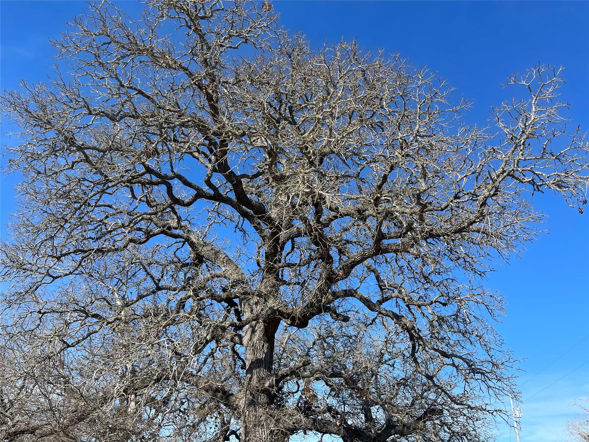 5279 Fm 2762, Flatonia, TX 78941