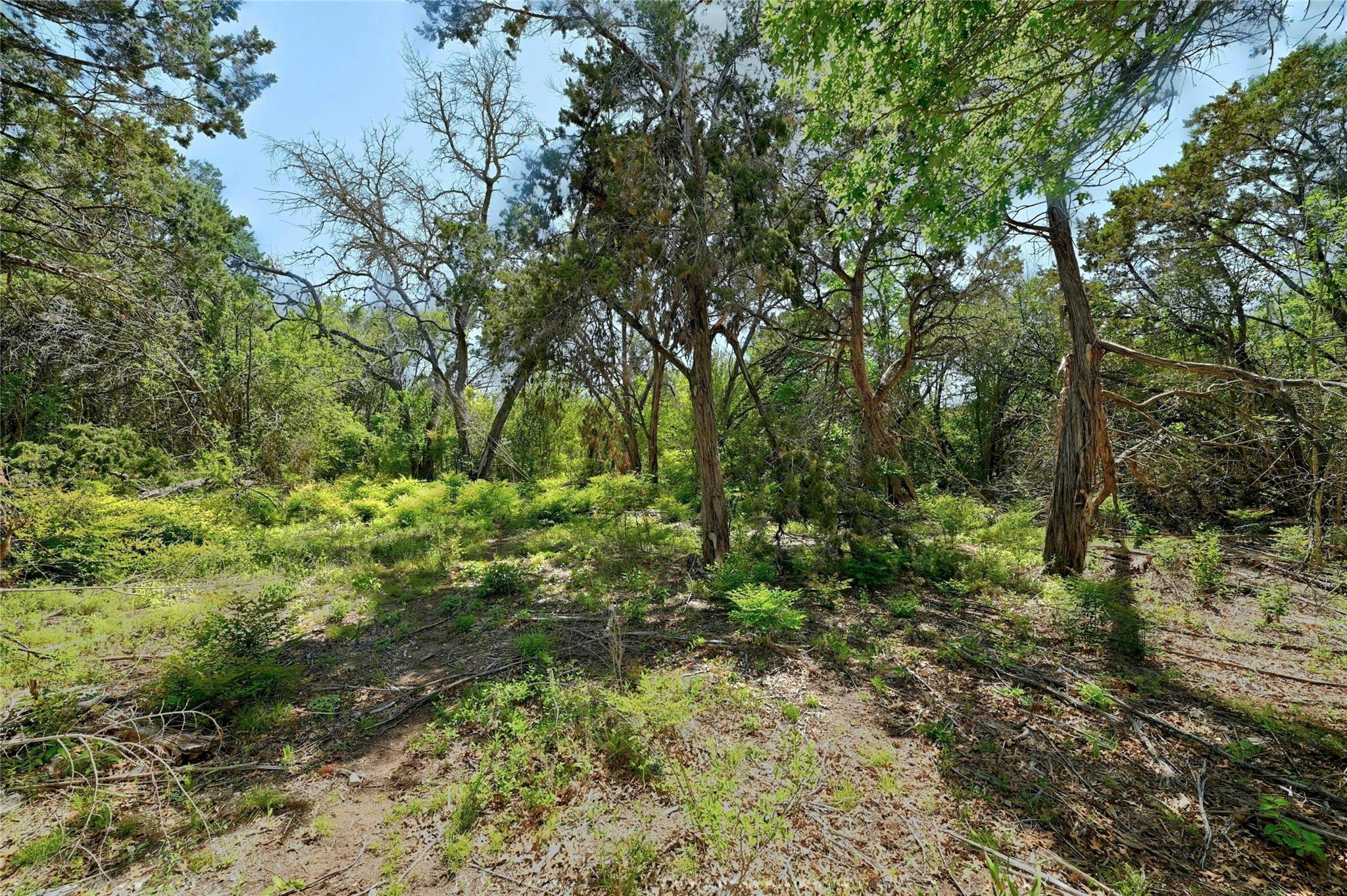 17168 Rocky Ridge Rd, Austin, TX 78734