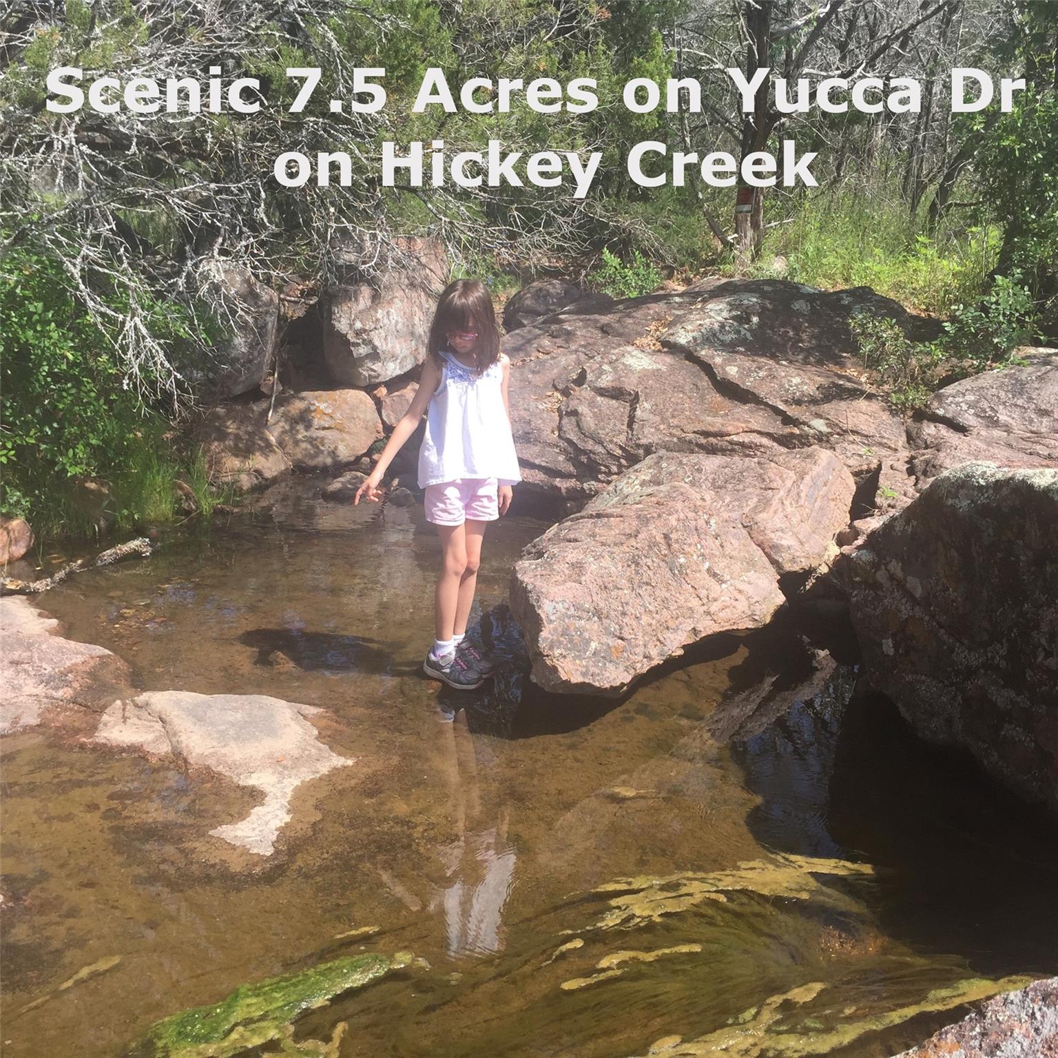 221 Yucca and adjoining lot Dr, Burnet, TX 78611