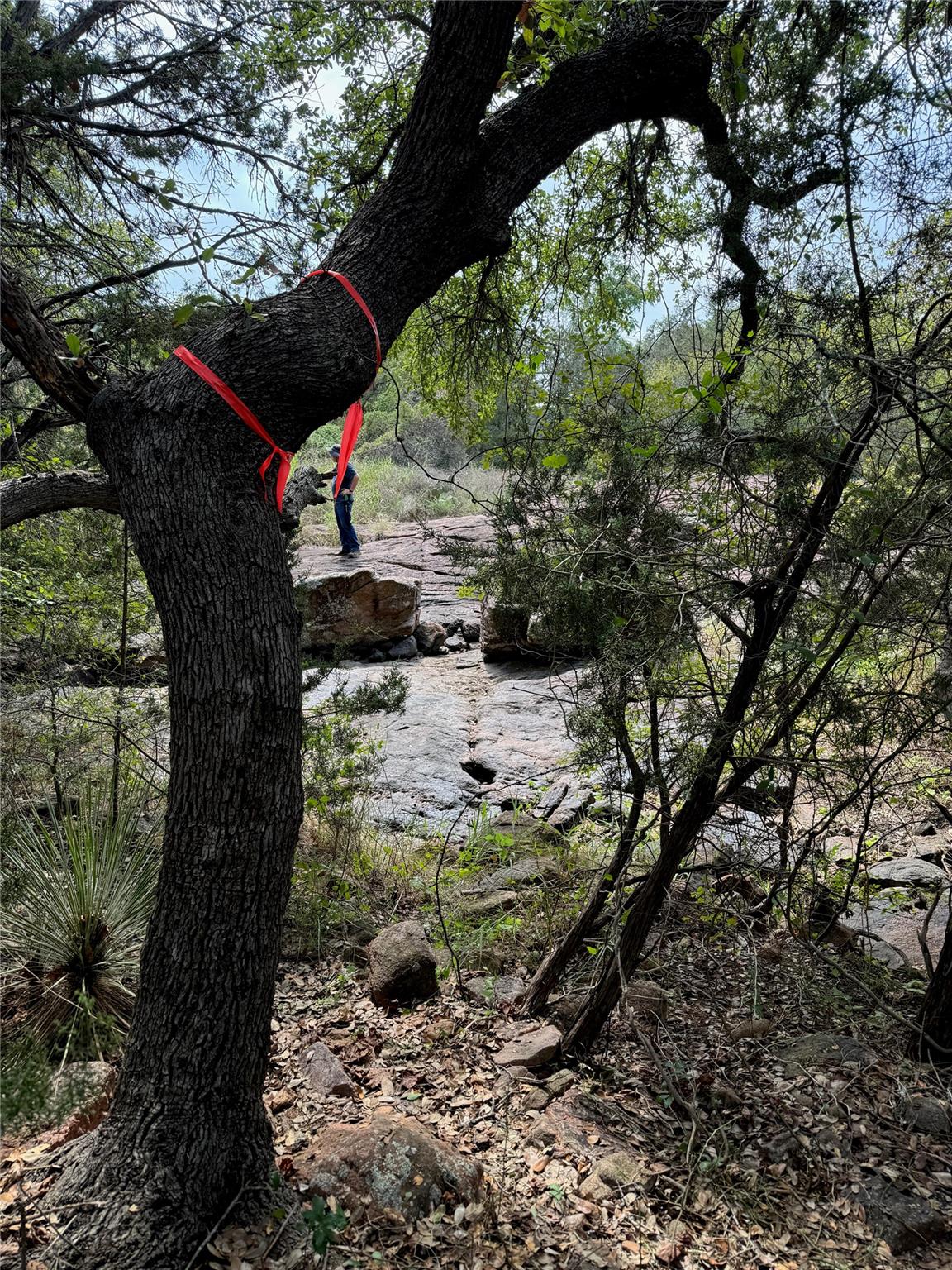 221 Yucca and adjoining lot Dr, Burnet, TX 78611