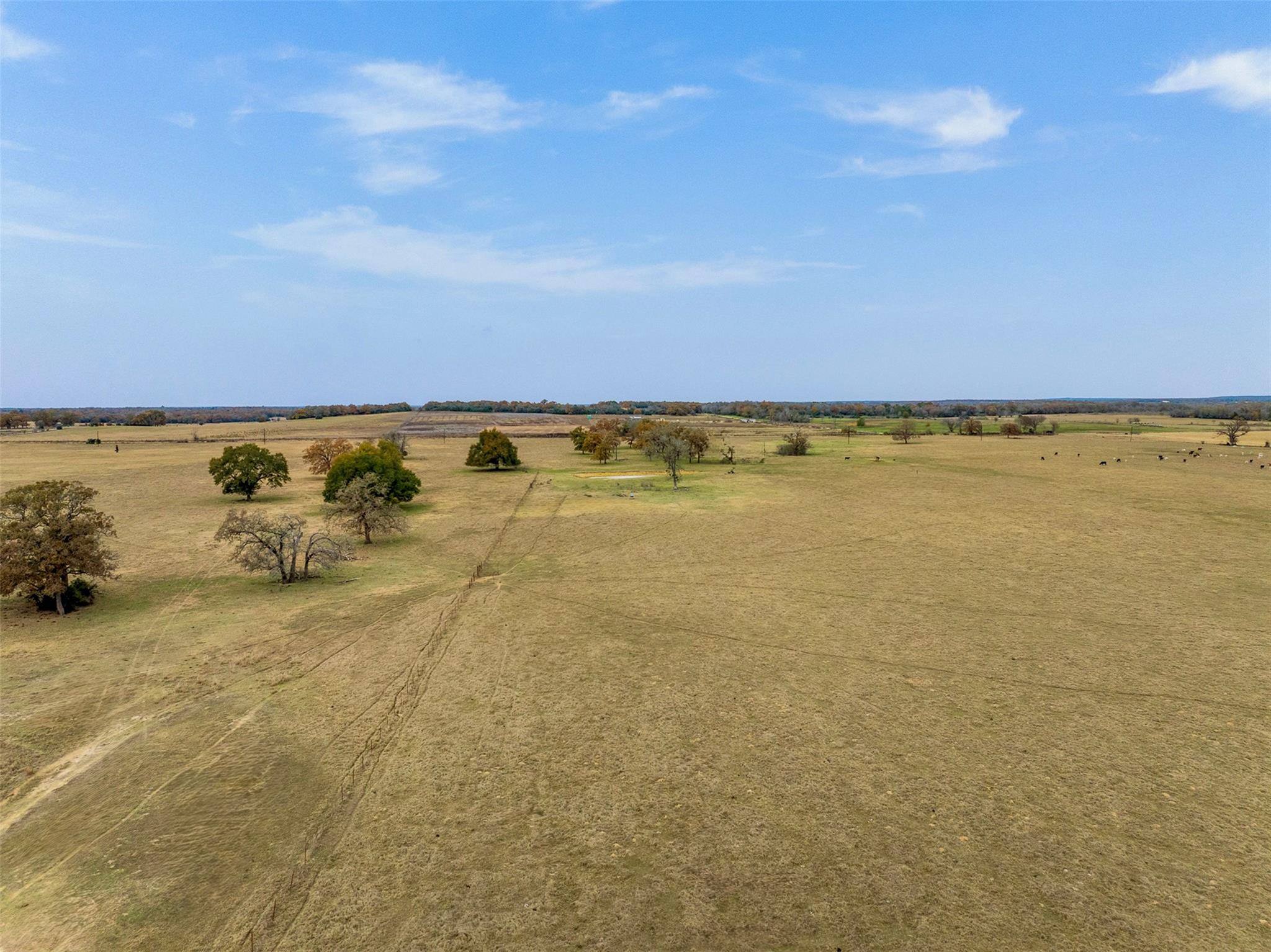 2150 CR 412, Lexington, TX 78947