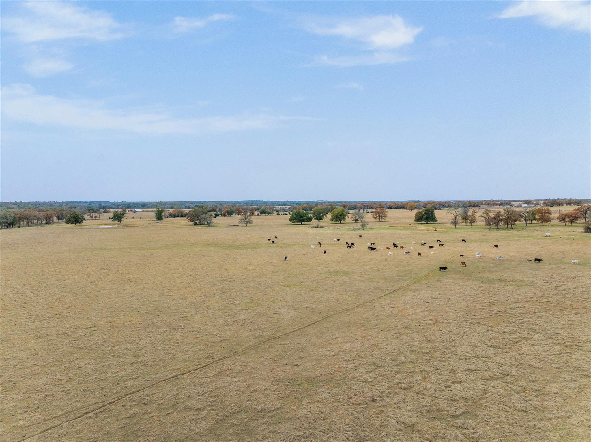 2150 CR 412, Lexington, TX 78947