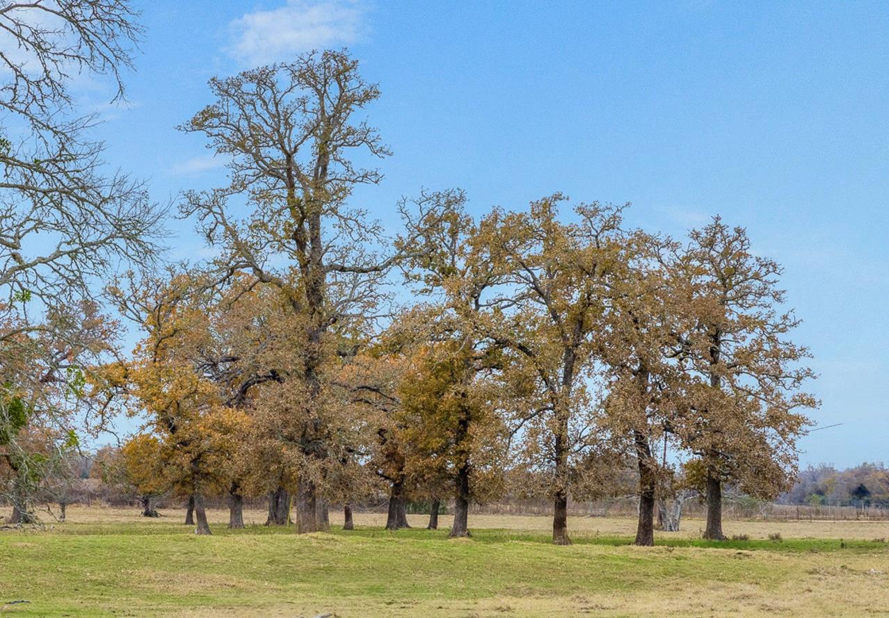 2150 CR 412, Lexington, TX 78947